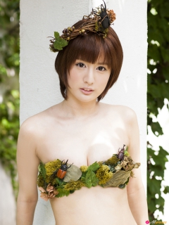 Spring Dream 1 - N