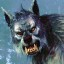 wolfman50`s avatar