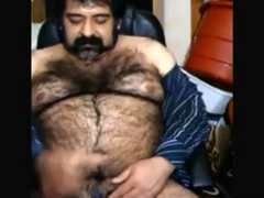 Big hairy bear and hairy body