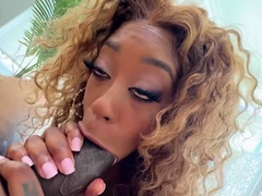 Big cock blowjob and fuck