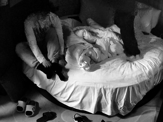 Amateur Hidden Cams Reveal Cock Riding Hoes