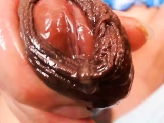 Ebony tranny Brii jerks her black boner in solo masturbation