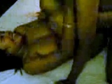 Big-Titted Asian Amateur in a Steamy Threesome