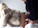 Couple have sex in fur coats